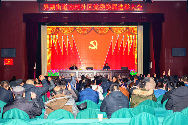 界湖街道南村社区党委换届圆满落幕